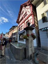 08-Stein_Am_Rheim