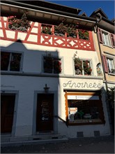 12-Stein_Am_Rheim