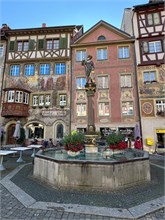 13-Stein_Am_Rheim