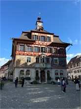 14-Stein_Am_Rheim