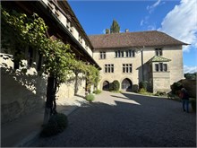 28-Stein_Am_Rheim