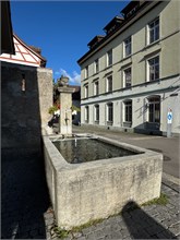 41-Stein_Am_Rheim