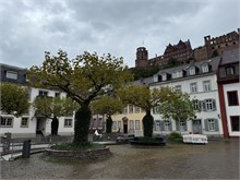 11-Heidelberg