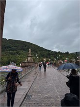 24-Heidelberg