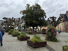 08-Rudesheim-am-Rein