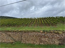 21-Rudesheim-am-Rein