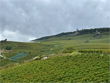 22-Rudesheim-am-Rein