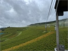 26-Rudesheim-am-Rein