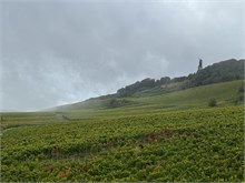 27-Rudesheim-am-Rein