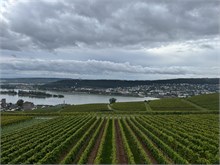 29-Rudesheim-am-Rein