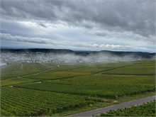 30-Rudesheim-am-Rein