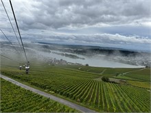 32-Rudesheim-am-Rein