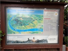 33-Rudesheim-am-Rein