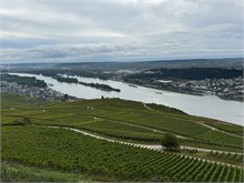 39-Rudesheim-am-Rein