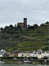 29-Rhine_Gorge