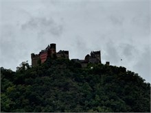 33-Rhine_Gorge