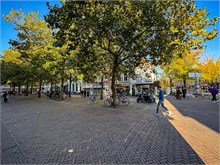05-Delft