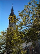 12-Delft