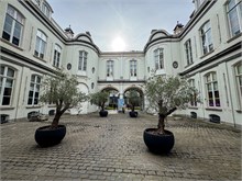 16-Antwerp