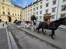 38-Vienna