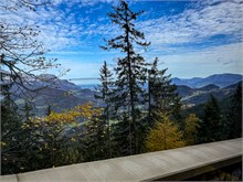 IMG_5903