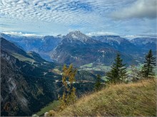 IMG_5918