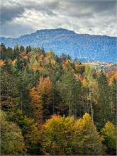 IMG_6120