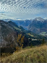 IMG_6138
