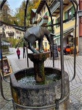 IMG_6208