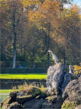 IMG_6134