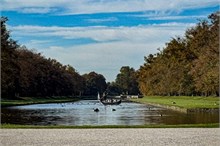 IMG_6137