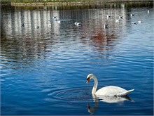 IMG_6509