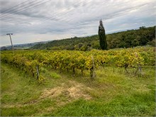 01-Tuscany