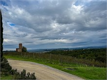 18-Tuscany