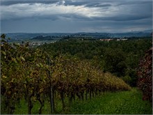 20-Tuscany