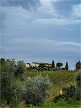 21-Tuscany