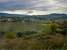 27-Tuscany