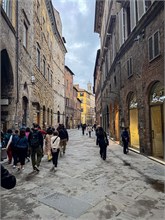 21-Siena