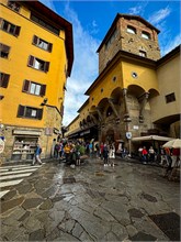 15-Florence
