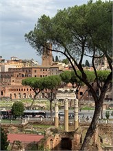 46-Rome
