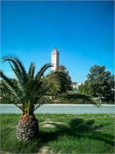 06-Tunis-Carthage