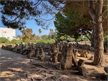08-Tunis-Carthage