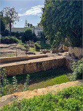 19-Tunis-Carthage