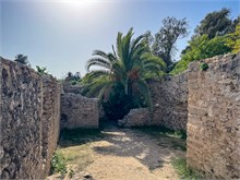 45-Tunis-Carthage