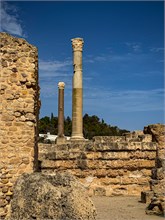 55-Tunis-Carthage