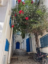 10-Sidi-Bou-Said
