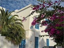 31-Sidi-Bou-Said