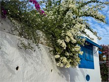 44-Sidi-Bou-Said