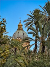 78-Palermo