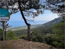 14-Sardinia